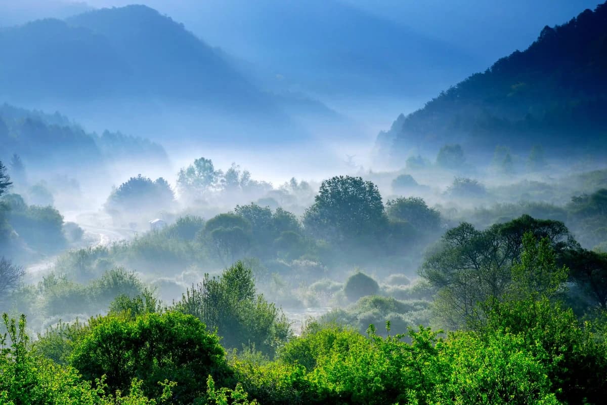 Mục tiêu trung hòa carbon